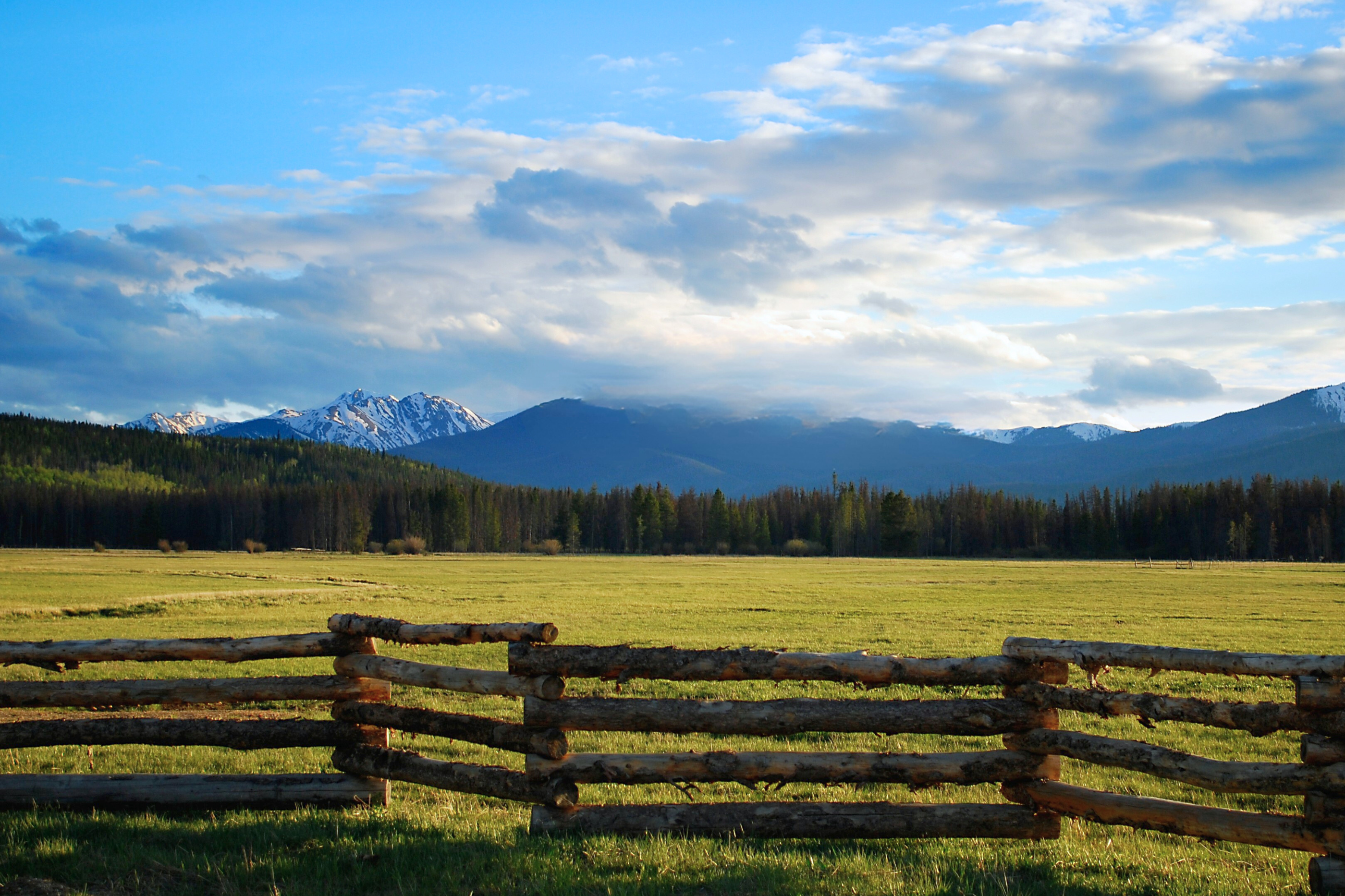 Reckless Driving Lawyer Colorado